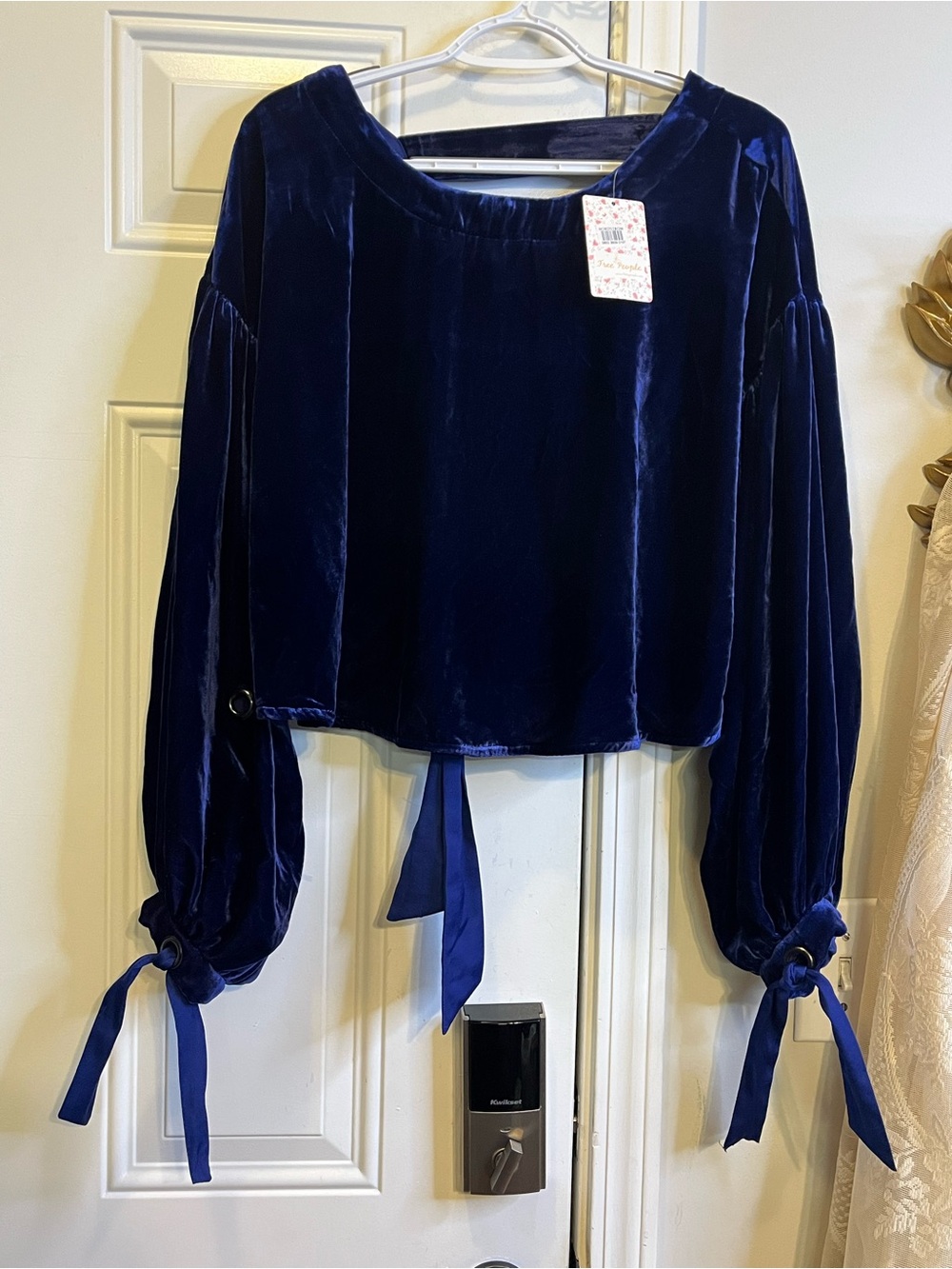 NWT Free People Velvet Balloon-Sleeve Cropped Top